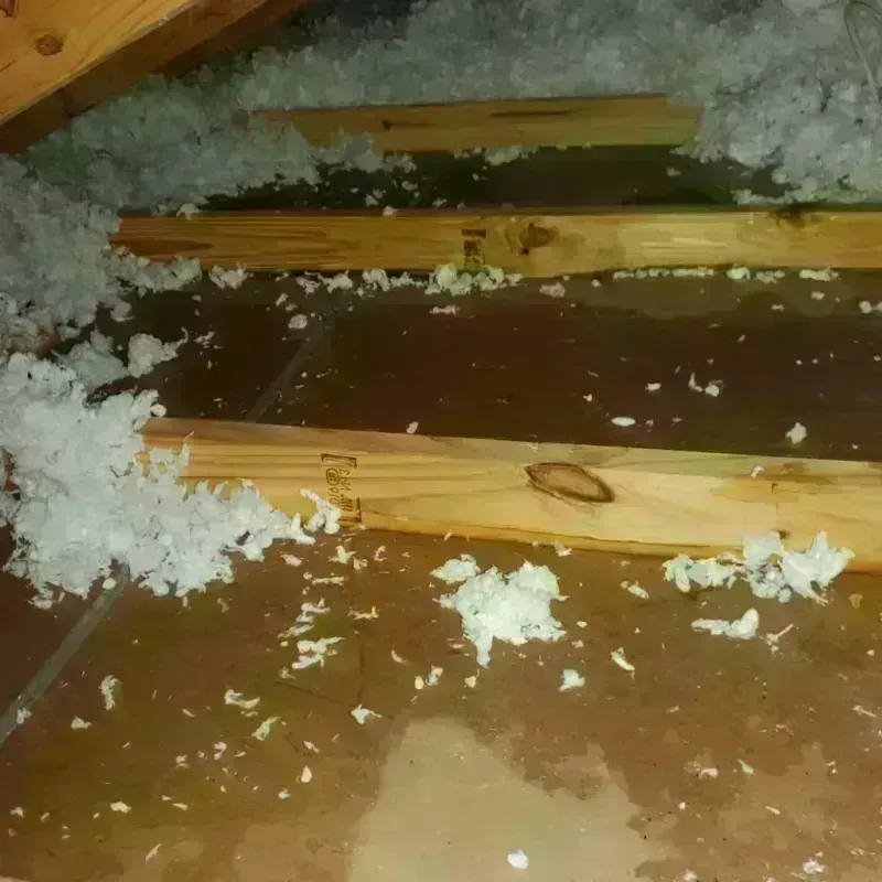 Attic Water Damage in Hinsdale County, CO