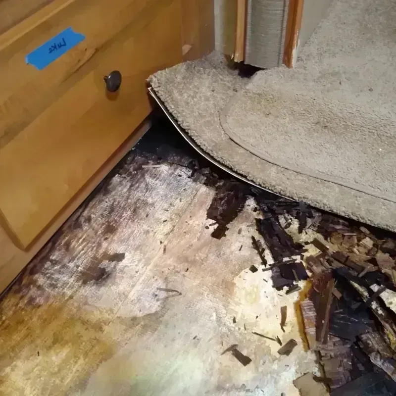 Best Wood Floor Water Damage Service in Hinsdale County, CO